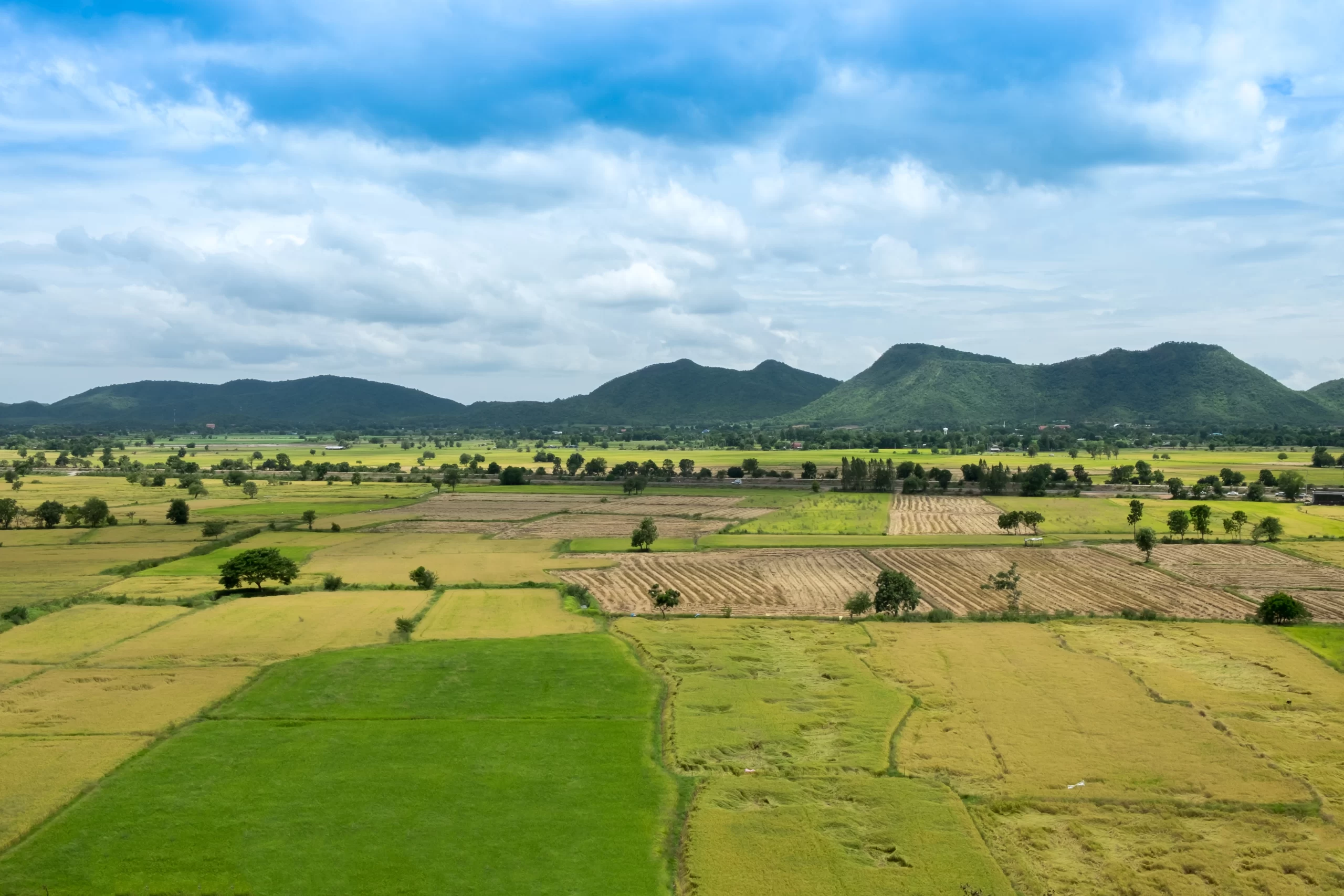 Villa plots in Ibrahimpatnam - Mud is my name